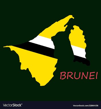 Map of brunei with the provinces colored in vector image