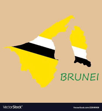 Map of brunei with the provinces colored in vector image