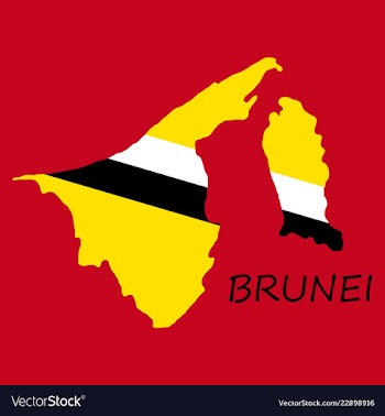 Map of brunei with the provinces colored in vector image