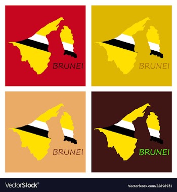Map of brunei with the provinces colored in vector image