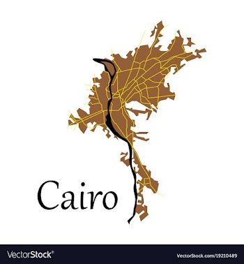 Map of cairo city streets egypt flat view vector image