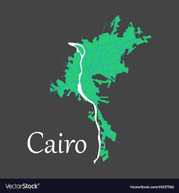 Map of cairo city streets egypt flat view vector image