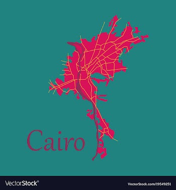 Map of cairo city streets egypt flat view vector image