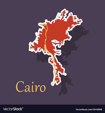 Map of cairo city streets egypt sticker view vector image