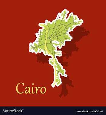Map of cairo city streets egypt sticker view vector image