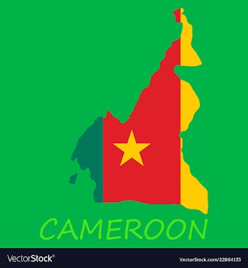 Map of cameroon with the image of the national vector image