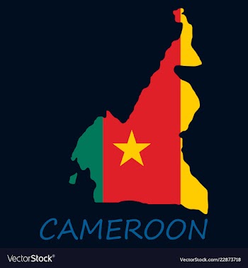 Map of cameroon with the image of the national vector image
