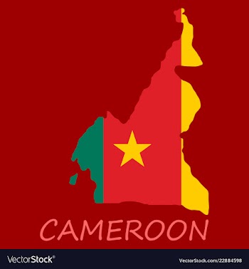 Map of cameroon with the image of the national vector image