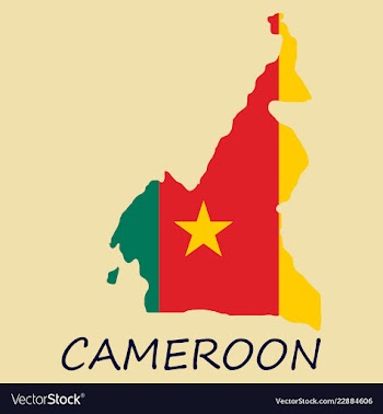 Map of cameroon with the image of the national vector image
