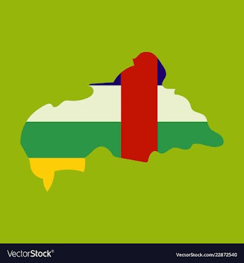 Map of central african republic with flag vector image
