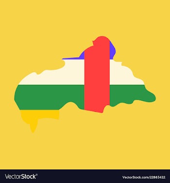 Map of central african republic with flag vector image