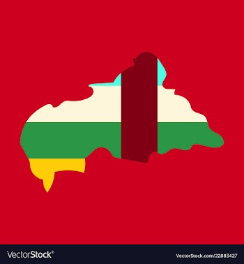 Map of central african republic with flag vector image