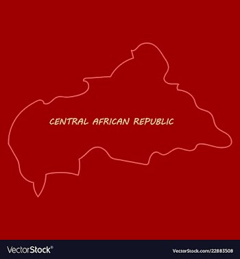 Map of central african republic with flag vector image