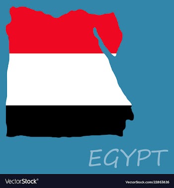 Map of egypt with an official flag on white vector image