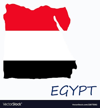 Map of egypt with an official flag on white vector image