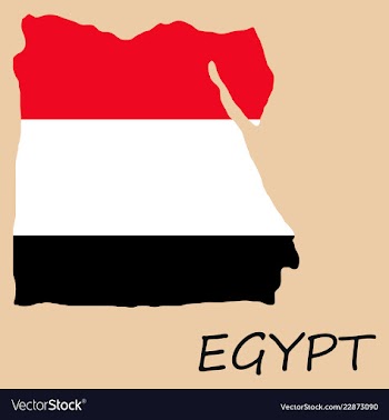 Map of egypt with an official flag on white vector image