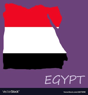Map of egypt with an official flag on white vector image