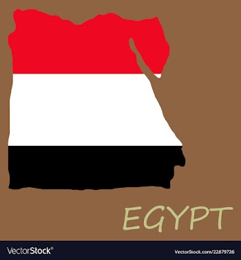 Map of egypt with an official flag on white vector image