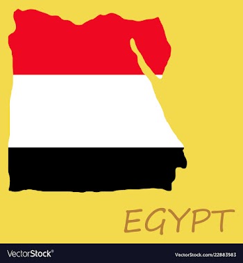 Map of egypt with an official flag on white vector image
