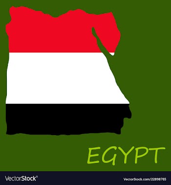 Map of egypt with an official flag on white vector image