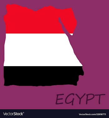 Map of egypt with an official flag on white vector image