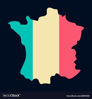Map of france with flag isolated 3d isometric vector image