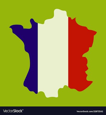 Map of france with flag isolated 3d isometric vector image