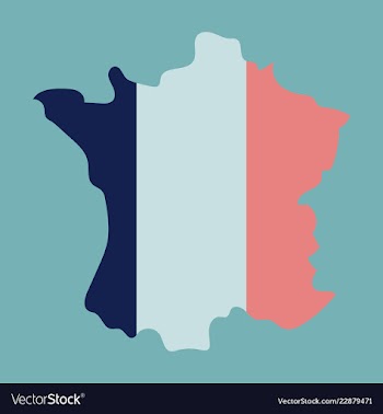 Map of france with flag isolated 3d isometric vector image