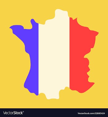 Map of france with flag isolated 3d isometric vector image