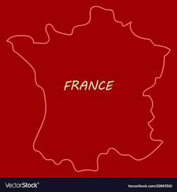 Map of france with flag isolated 3d isometric vector image