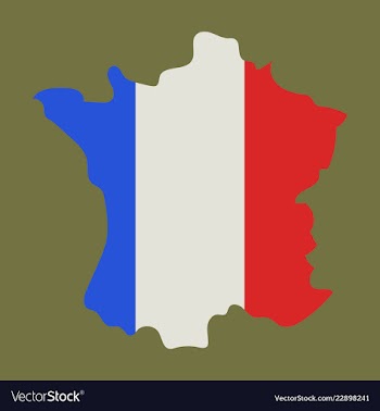 Map of france with flag isolated 3d isometric vector image