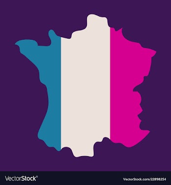 Map of france with flag isolated 3d isometric vector image