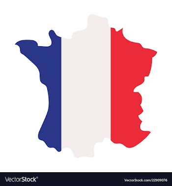 Map of france with flag isolated 3d isometric vector image