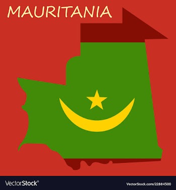 Map of mauritania with flag vector image