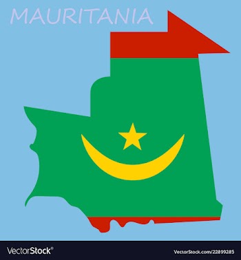 Map of mauritania with flag vector image