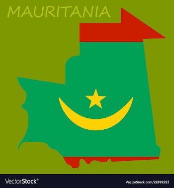Map of mauritania with flag vector image