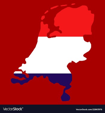 Map of netherlands with flag isolated white vector image