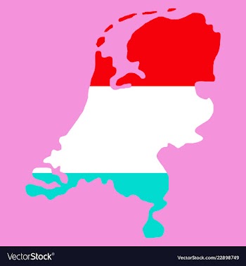 Map of netherlands with flag isolated white vector image