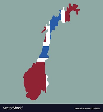 Map of norway filled with flag of the state vector image
