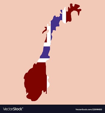 Map of norway filled with flag of the state vector image