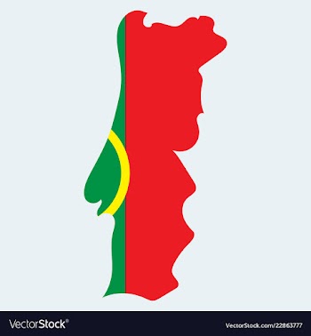 Map of portugal with national flag isolated on vector image
