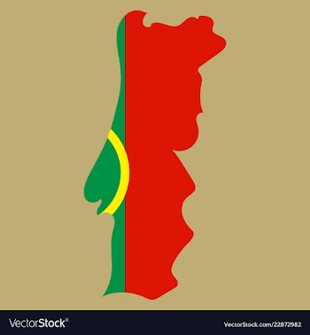 Map of portugal with national flag isolated on vector image