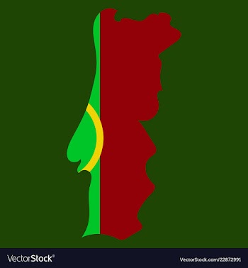 Map of portugal with national flag isolated on vector image