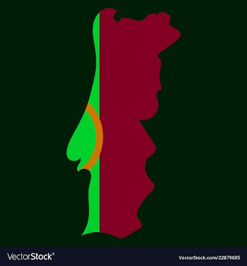 Map of portugal with national flag isolated on vector image