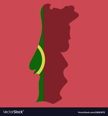 Map of portugal with national flag isolated on vector image