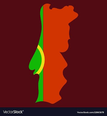 Map of portugal with national flag isolated on vector image