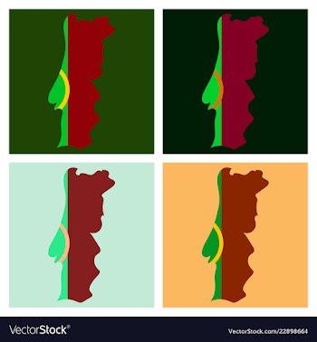 Map of portugal with national flag isolated on vector image