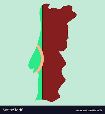 Map of portugal with national flag isolated on vector image
