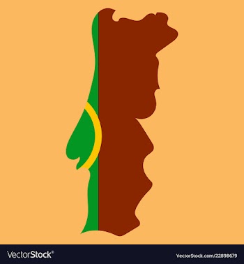 Map of portugal with national flag isolated on vector image