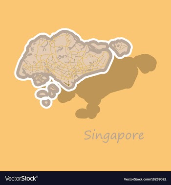 Map of singapore vector image